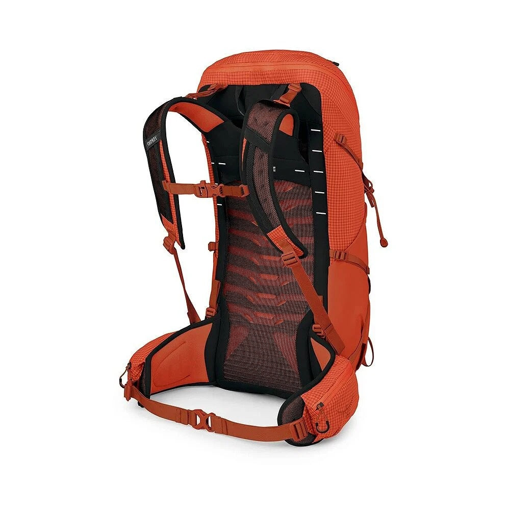 Men's Talon Pro 30 Hiking Backpack