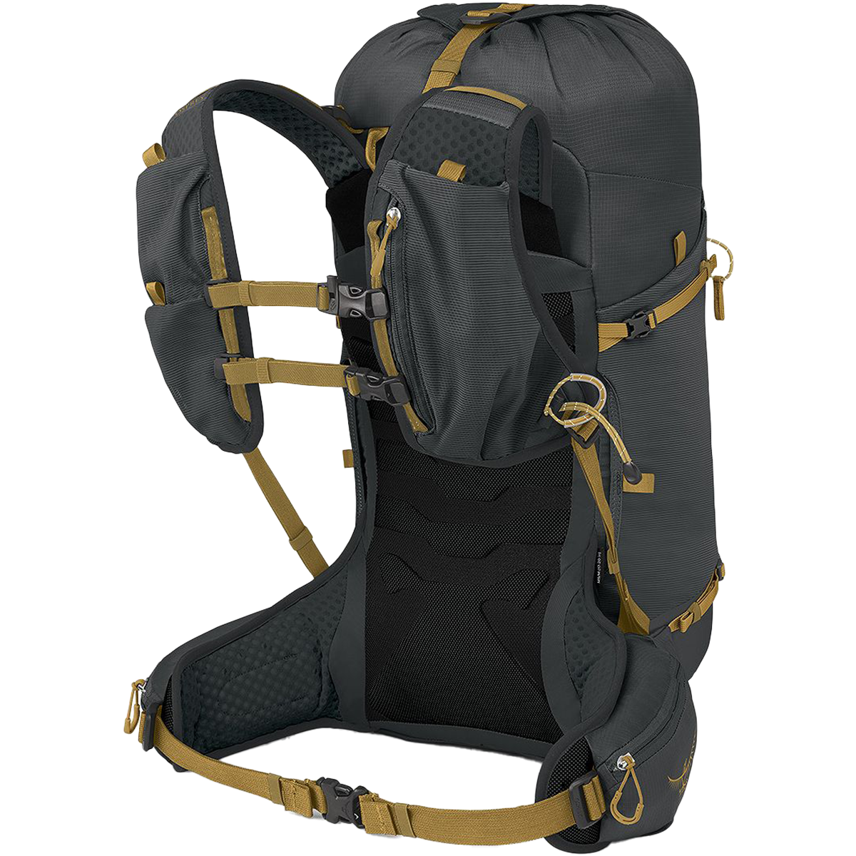 Talon Velocity 30