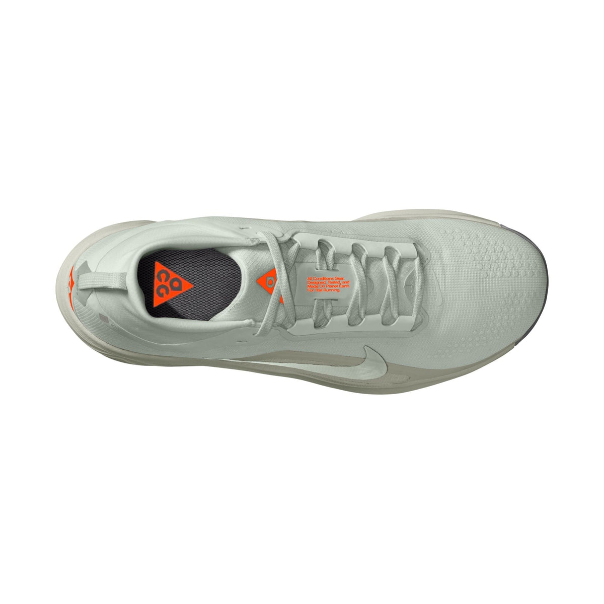 Men’s ACG Pegasus Trail GORE-TEX (003 - Light Silver/Light Silver-Light Army)